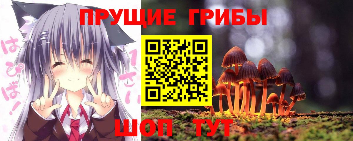 Псилоцибиновые грибы MAGIC MUSHROOMS Лысьва