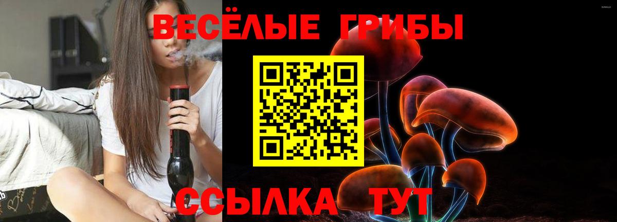 Лысьва  Псилоцибиновые грибы прущие грибы  Вход с VPN 